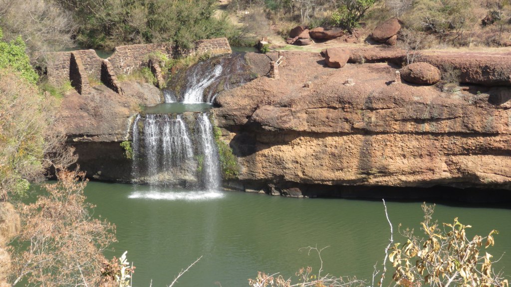 frogs water fall